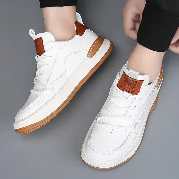 Everyday Chic: Daily Style Shoes