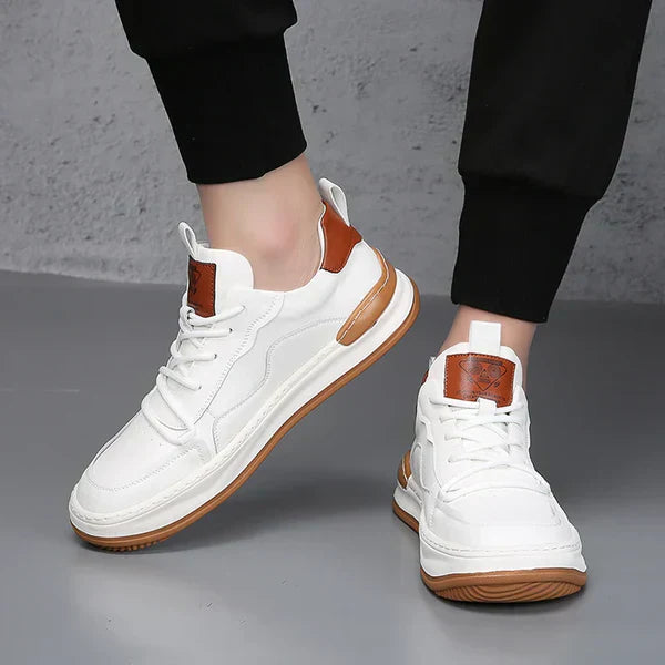 Everyday Chic: Daily Style Shoes