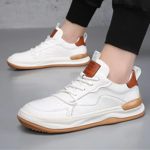 Everyday Chic: Daily Style Shoes
